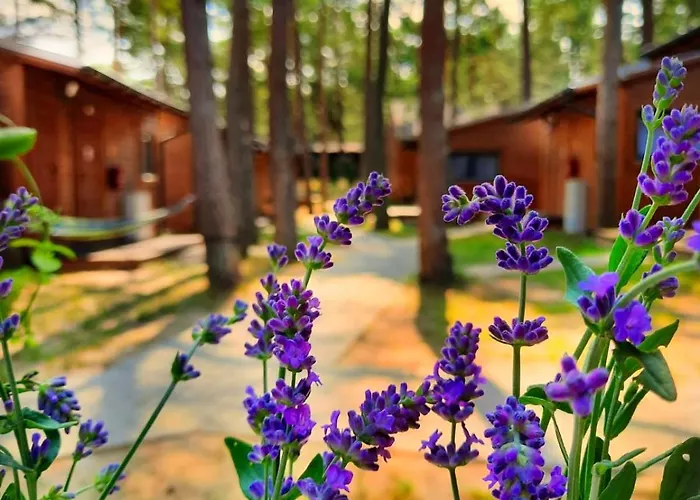 Letniskowe Arkadia * Pobierowo