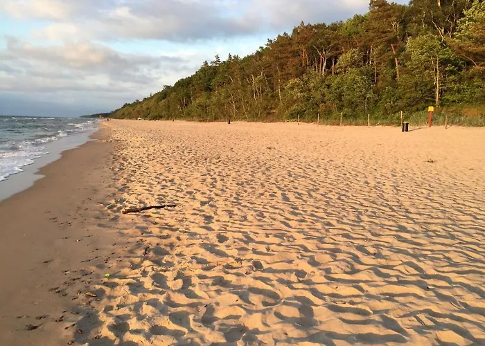 Letniskowe Arkadia *